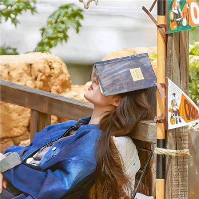 国土安全第三季